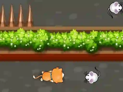 Spel Cat Trap Labyrinth Escape på nätet