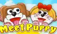 Meet Puppy — free online game