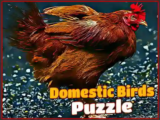 Domestic Birds Puzzle — free online game