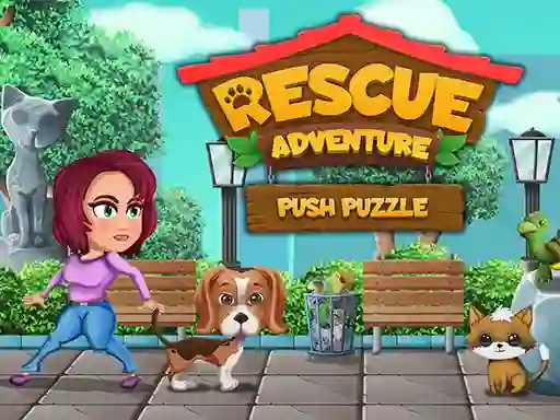 Rescue Adventure Push Puzzle — free online game