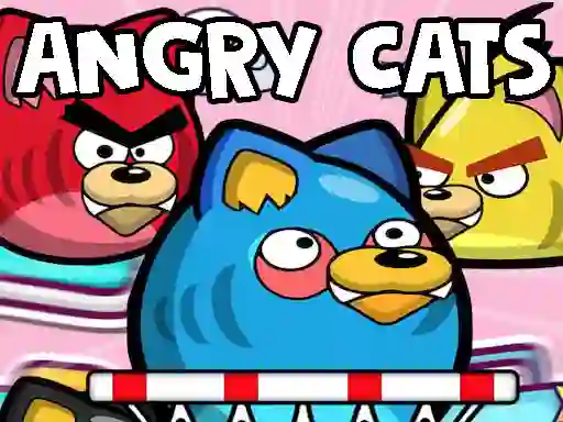 Angry Cats — free online game