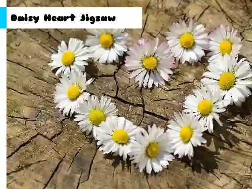 Logħba Daisy Heart Jigsaw onlajn