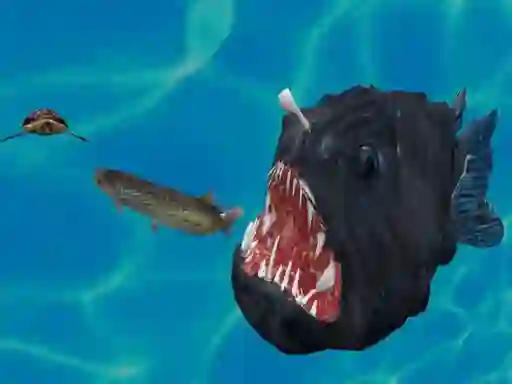 Cluiche Fish 3d ar líne