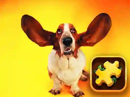 Funny Dogs Puzzle — free online game