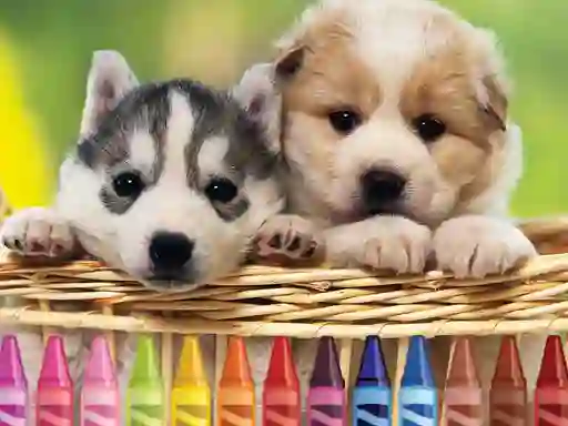 4GameGround Puppy Coloring — free online game