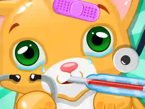 Kitty Doctor — free online game