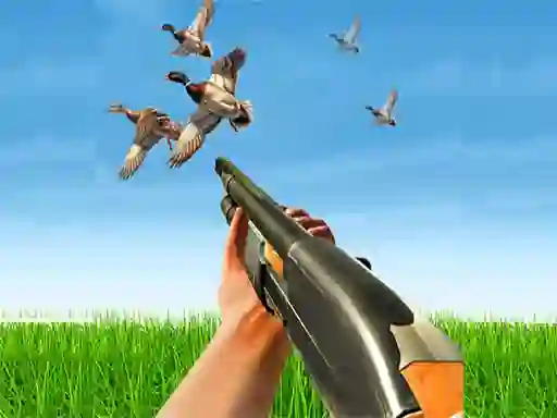 Bird Hunting — free online game