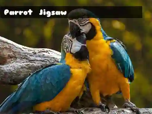 Parrot Jigsaw — darmowa gra online