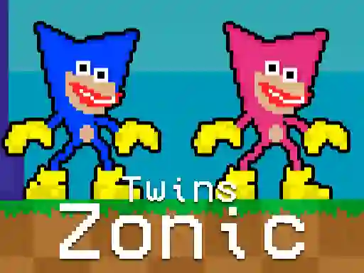Twins Zonic — free online game