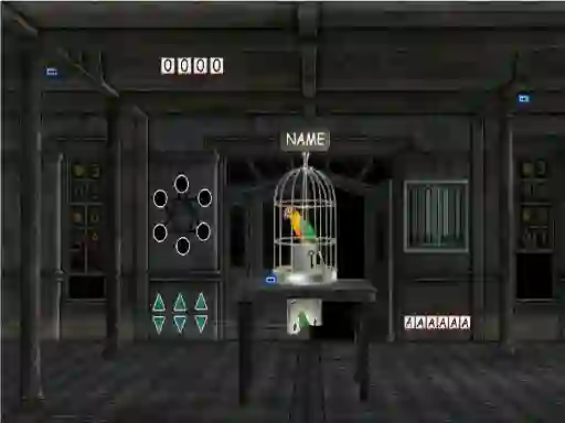 Parrots Escape — free online game