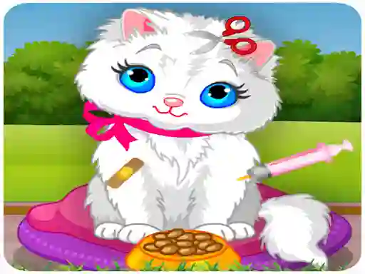 Vet Cat Clinic — free online game