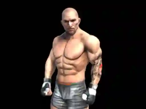 Fight Arena Online — free online game