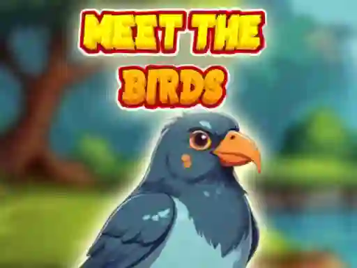 Meet The Birds — free online game