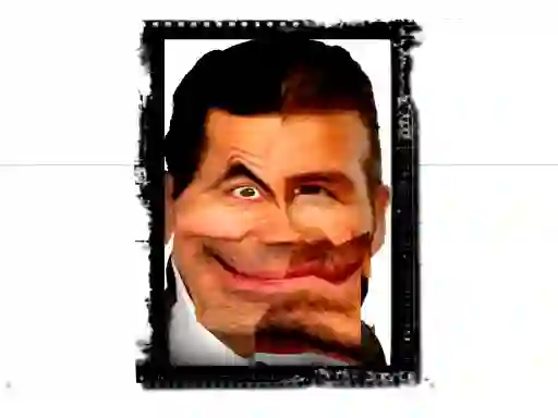 Funny Mr Bean Face — free online game