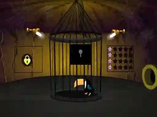 Toucan Rescue — free online game