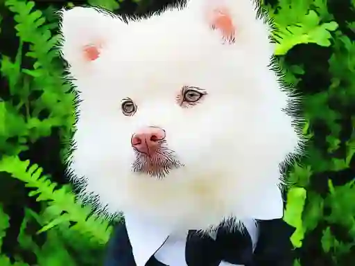 Funny Baby Animals — δωρεάν online παιχνίδι