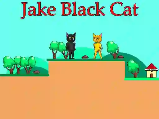 Jake Black Cat — free online game