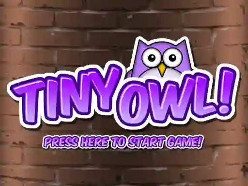 Tiny Owl — free online game