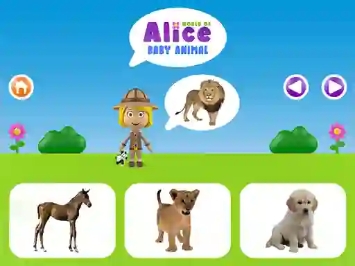 World of Alice baby animal — free online game