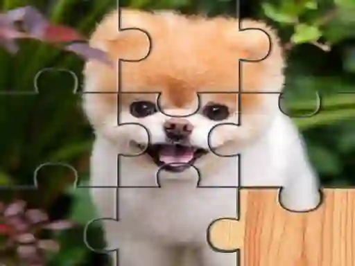 Cute dogs puzzle — free online game