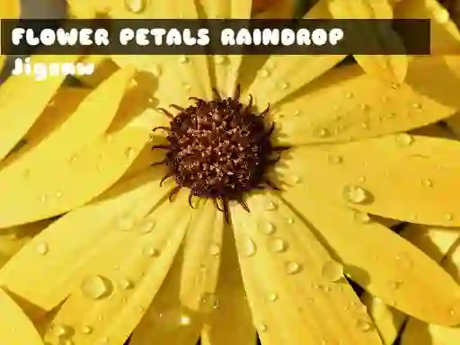 Flower Petals Raindrop Jigsaw — free online game