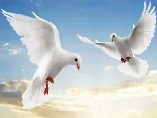 Flying Birds Slide — free online game