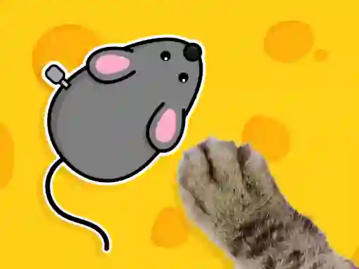 Games for Pets — free online game