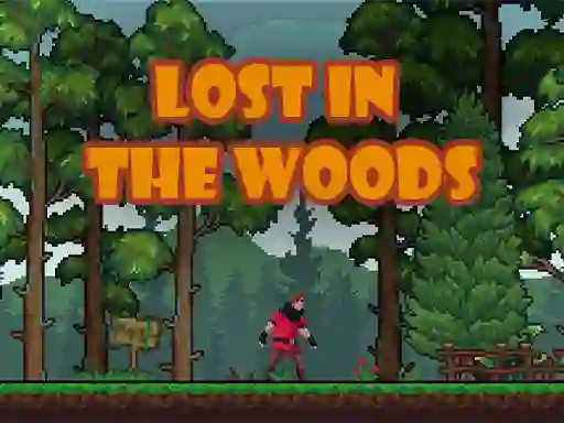 Lost in the Woods — free online game