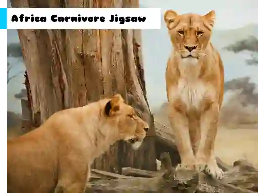 Africa Carnivore Jigsaw — δωρεάν online παιχνίδι
