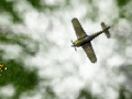 Skies of war