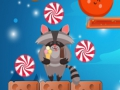Raccoon Sweet Rush