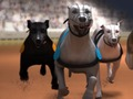 Greyhound Racing 