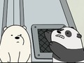 Baby Bear Bonanza 