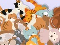 Find The Kitty 