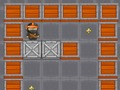 Ninja vital Treasure 