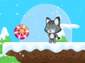 Kitty Chase 