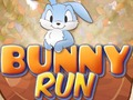 Bunny Run 
