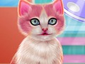 Kitty Dental Caring 