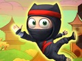 Ninja Ascend 