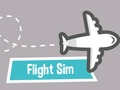 Flight Sim 