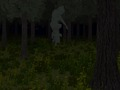 Caged Forest 
