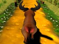 Escaped Bull 