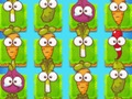 Plant Evolution 