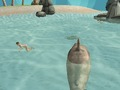 Shark Simulator Beach Killer 
