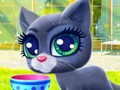 Happy Cat 