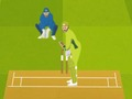 Super Cricket 