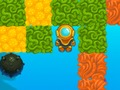 Fancy Diver 