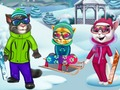 Cats Winter Fun 