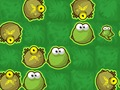 Frog Rush 