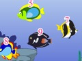 Algebraic Fish Frenzy 